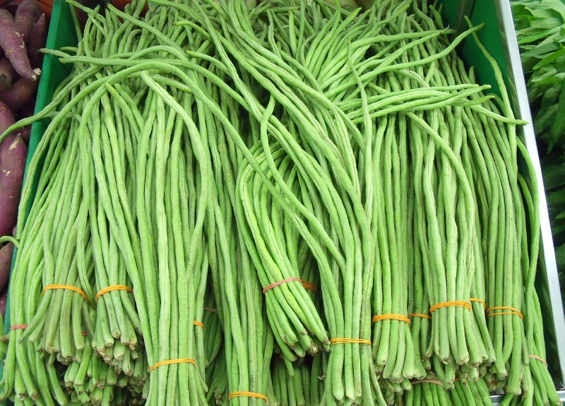 Long Bean Benefits For Health - RepFire1