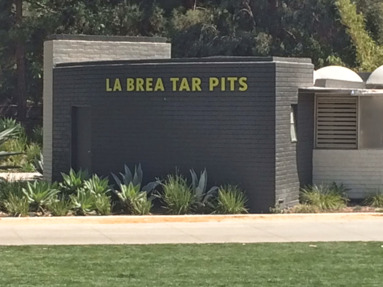 The original Observation Room at the La Brea Tar Pits La Brea Tar Pits Observation Room