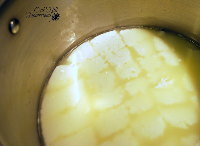 Mozzarella cheesemaking: cut the curds with a long knife.