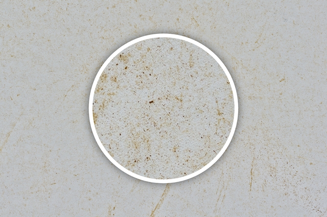 Cardboard, White, Dirty, Grain, Texture, 4928 x 3264