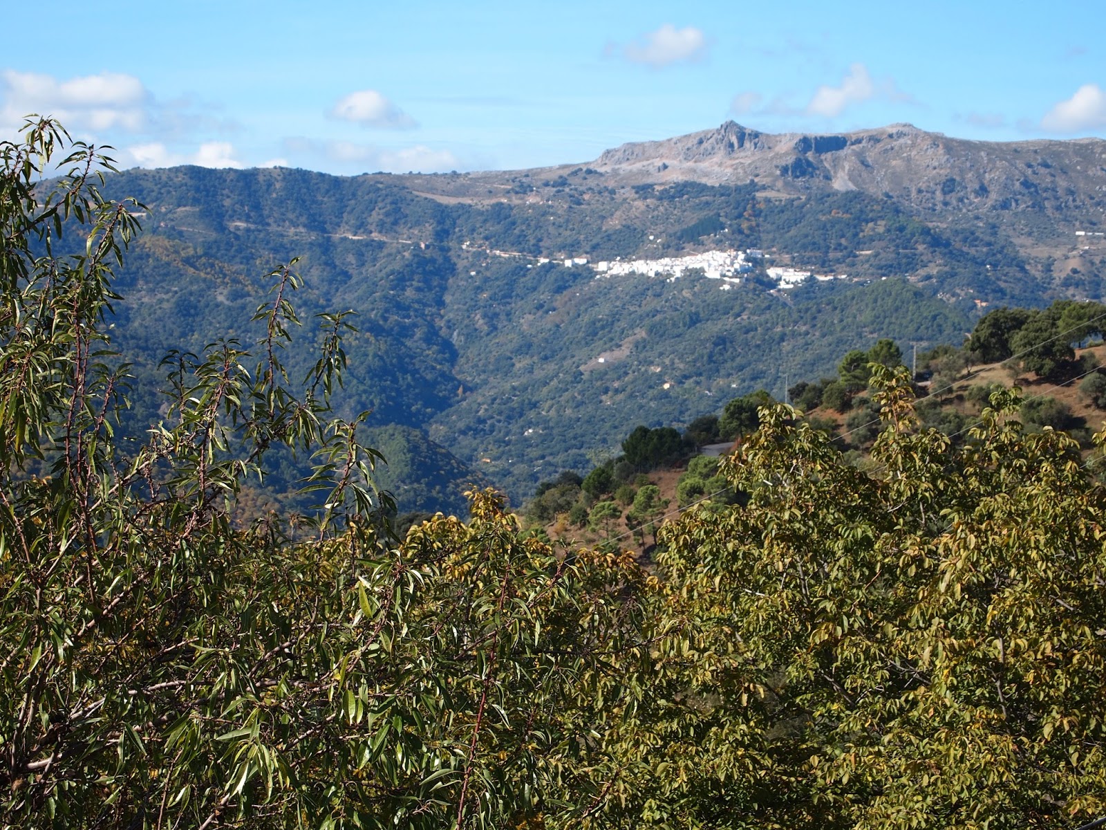 UN MOLINO PARA LOS AGOBIOS DEL