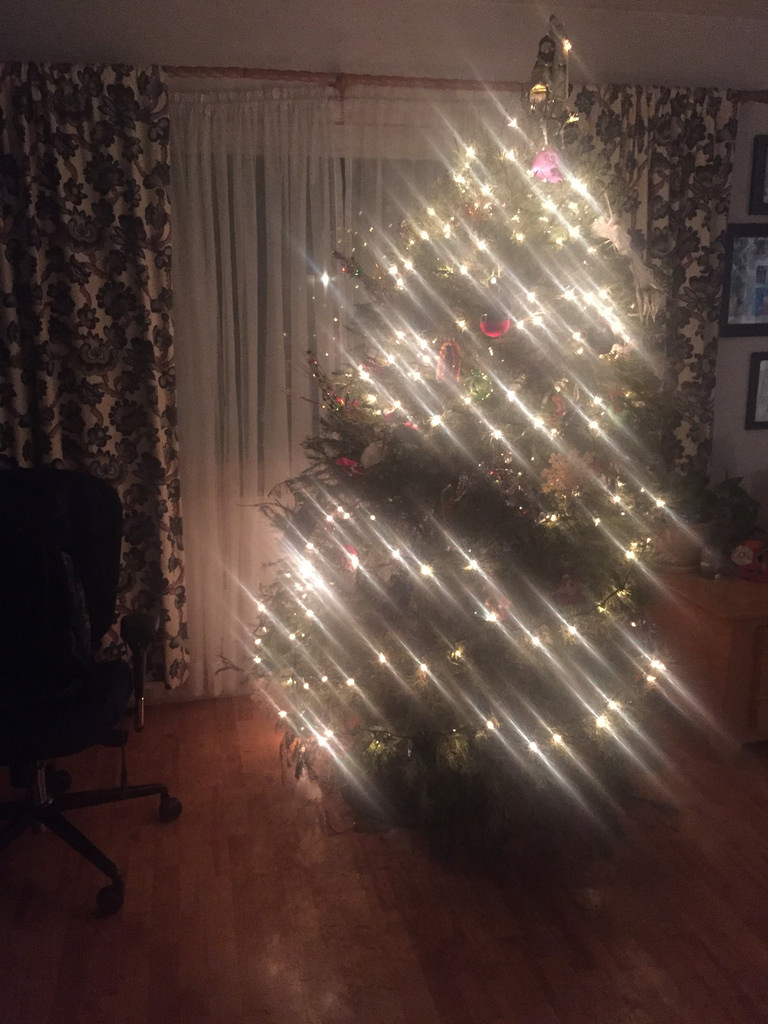 Punk Rock Parents Worst Christmas Tree Ever punk-rock-parents-worst-christmas-tree-ever