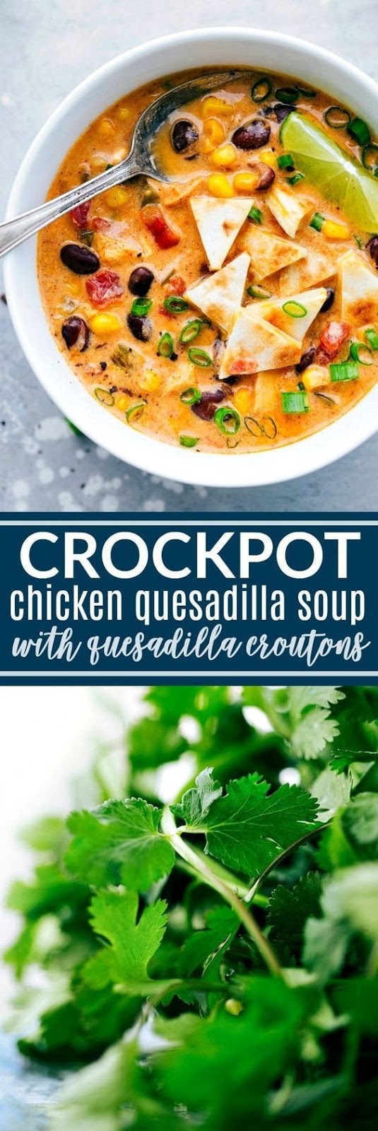 Crockpot Chicken Quesadilla Soup