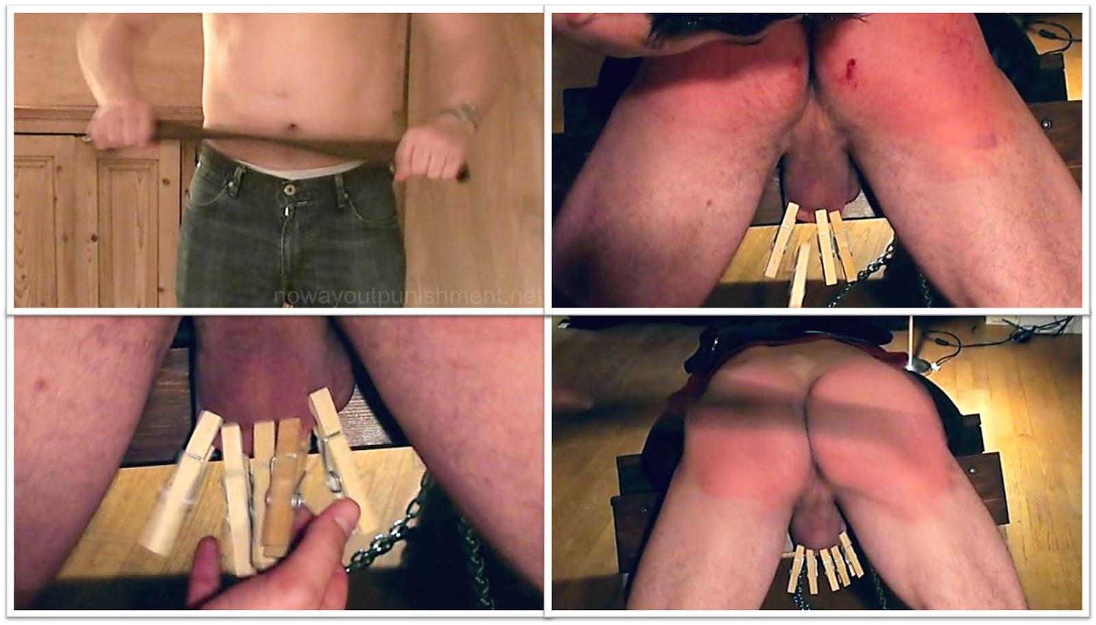 gay magnet xt free pictures gay pornography