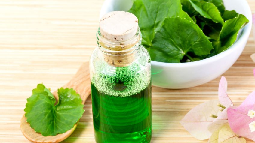 FARMACOGNOSIA: Terminología: Terminología