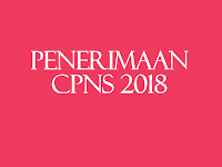 Persyaratan Dan Pengumuman Formasi CPNS 2018