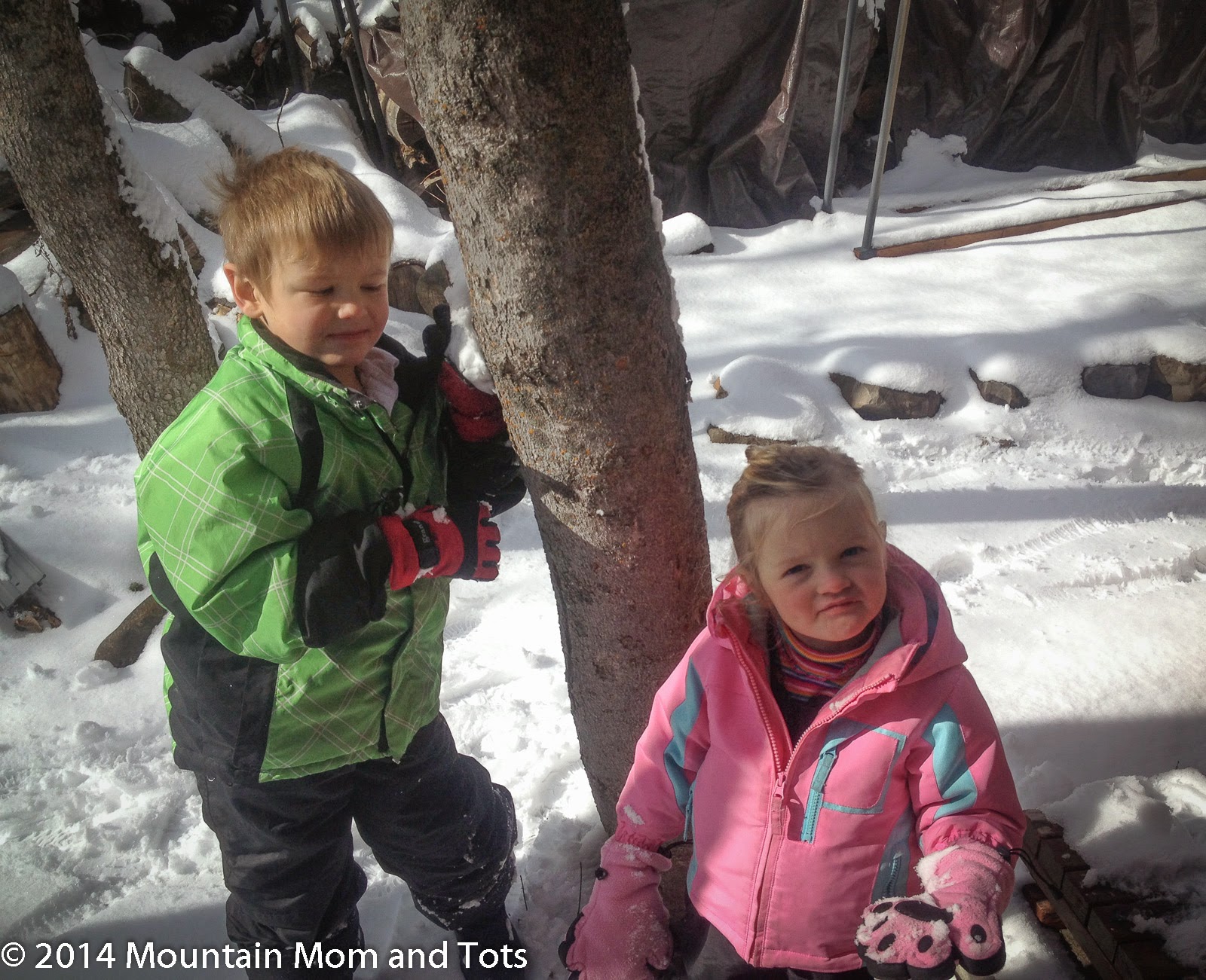 Giveaway Announcement Mountain Mom and Tots