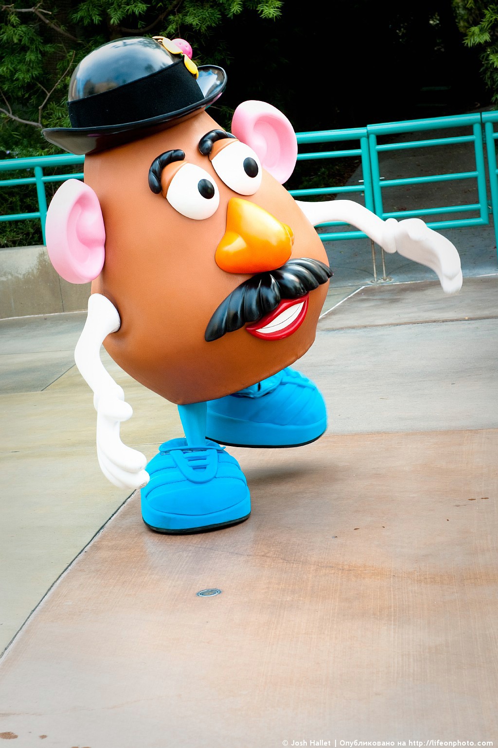 Mr potato. Mr Potato head. Мистер картофель из истории игрушек. Mr. Potato head магазин. Mr Potato head 50s.