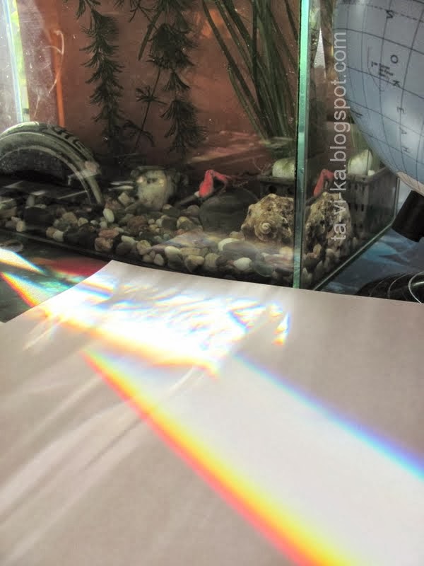 радуга через аквариум