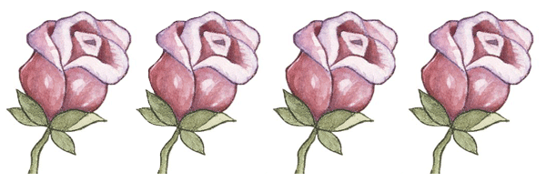 rosas rosas para tarjetas 