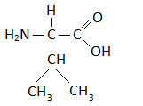 estrutura quimica valina formula
