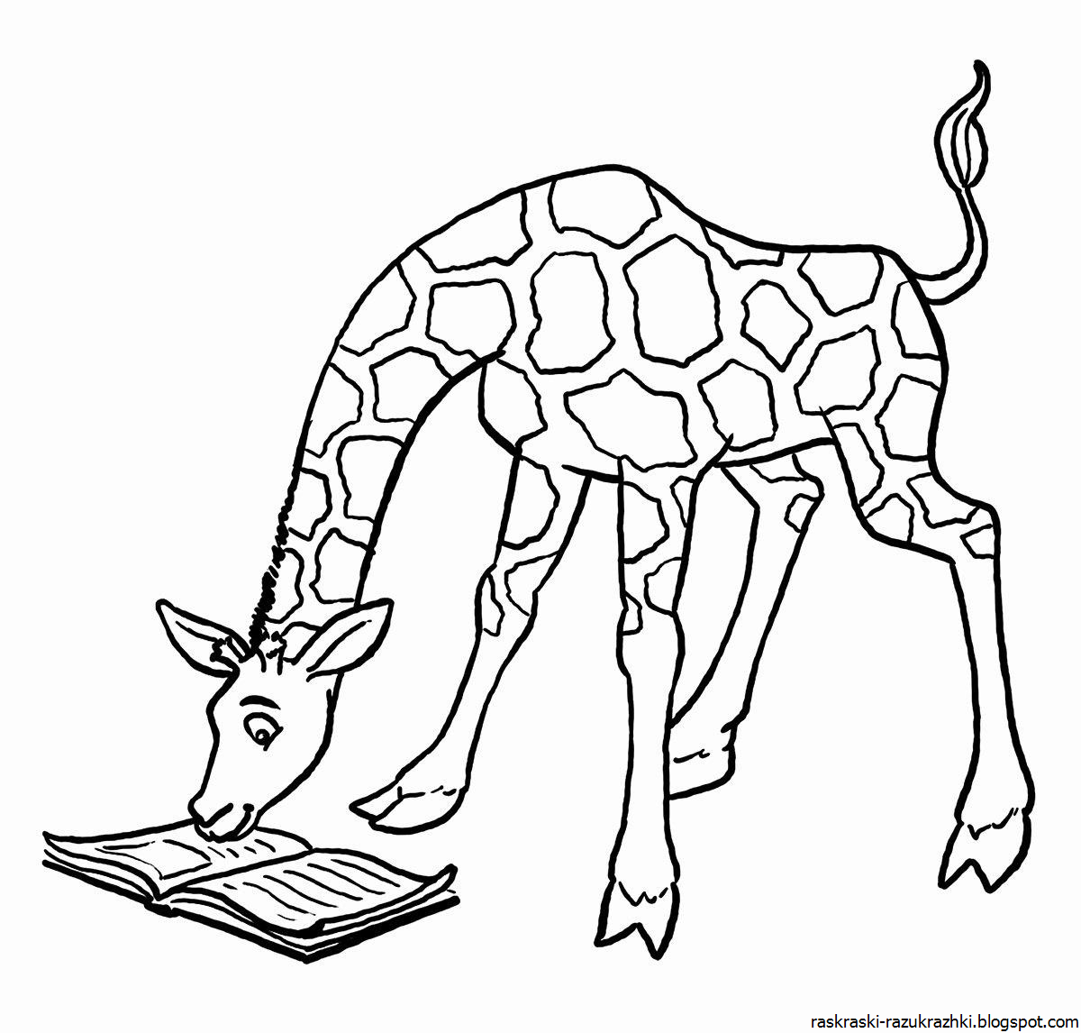 раскраска жирафа для детей. раскраска жирафа. жираф раскраска для детей. жираф раскраска для детей. жираф раскраска для малышей.