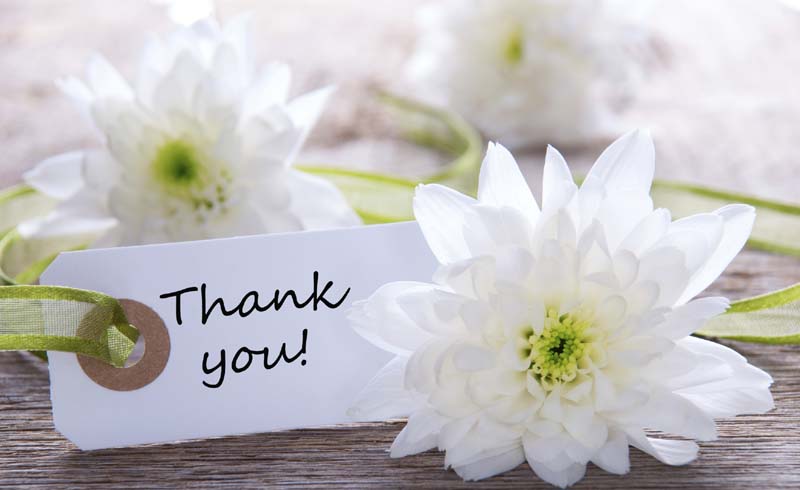 Sweet & Simple Thank you Notes
