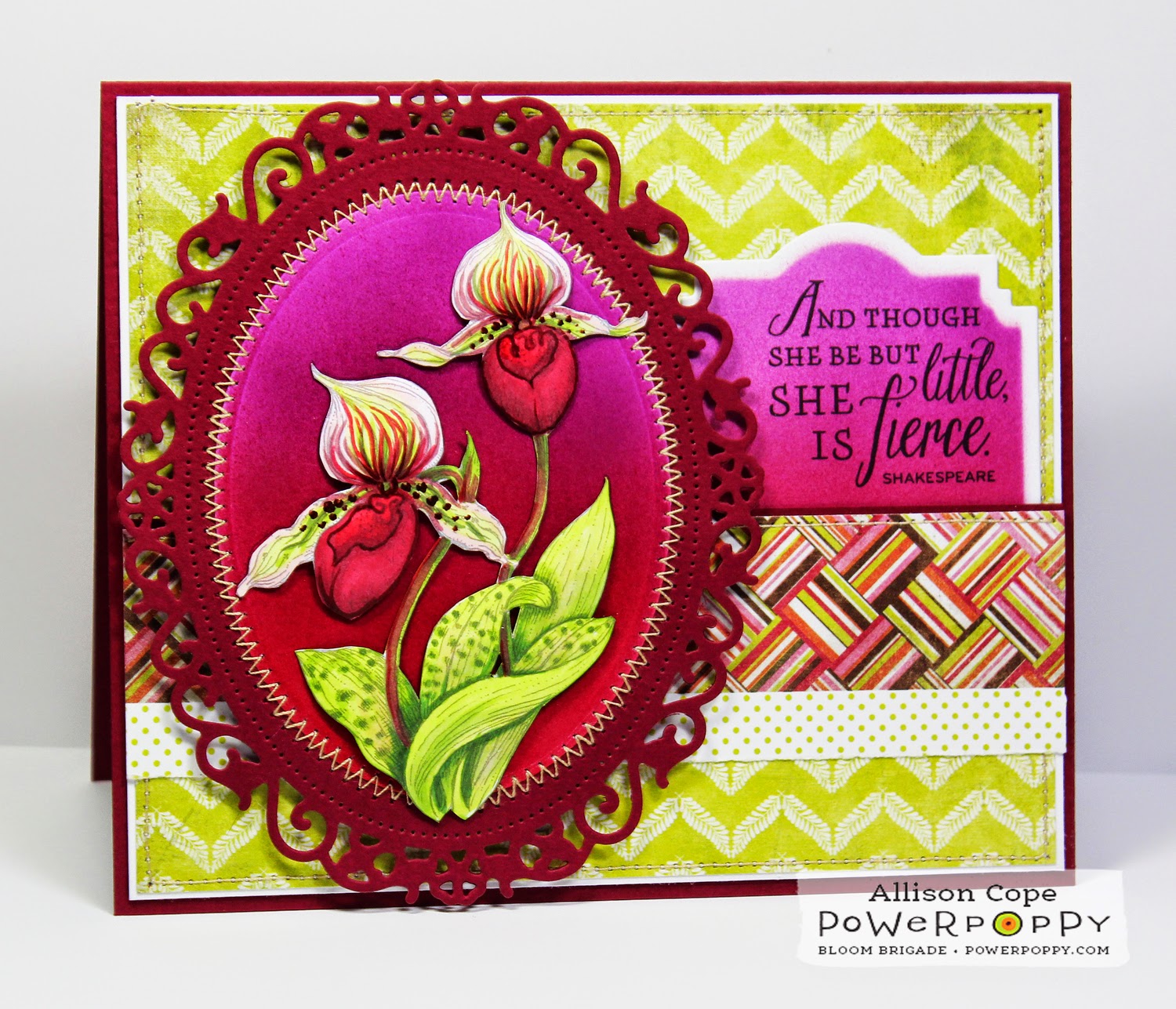 Orchids Rock by Allison Cope for Power Poppy