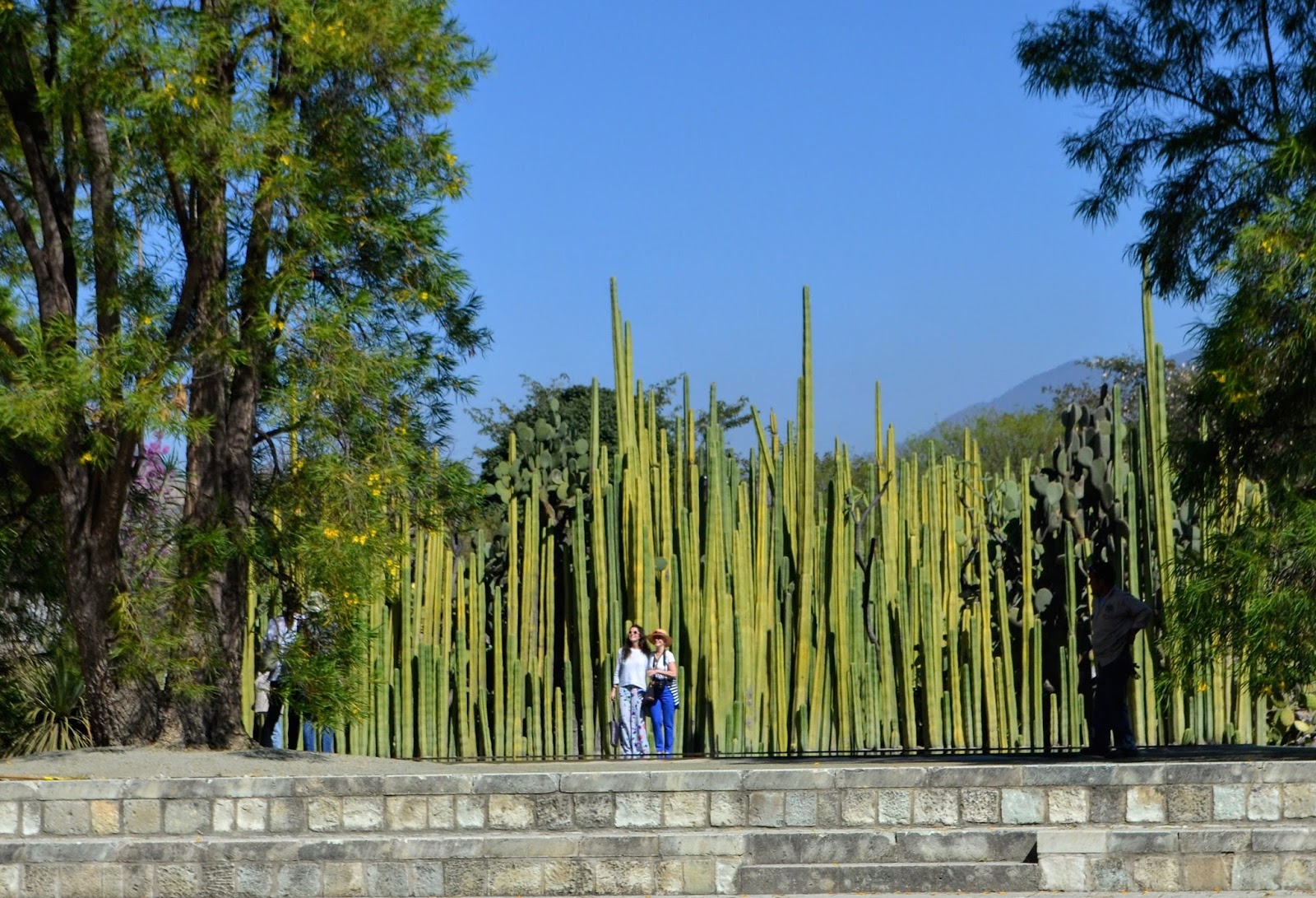 Fotoviaje Oaxaca de Juárez, Oaxaca, México. Día 15 
