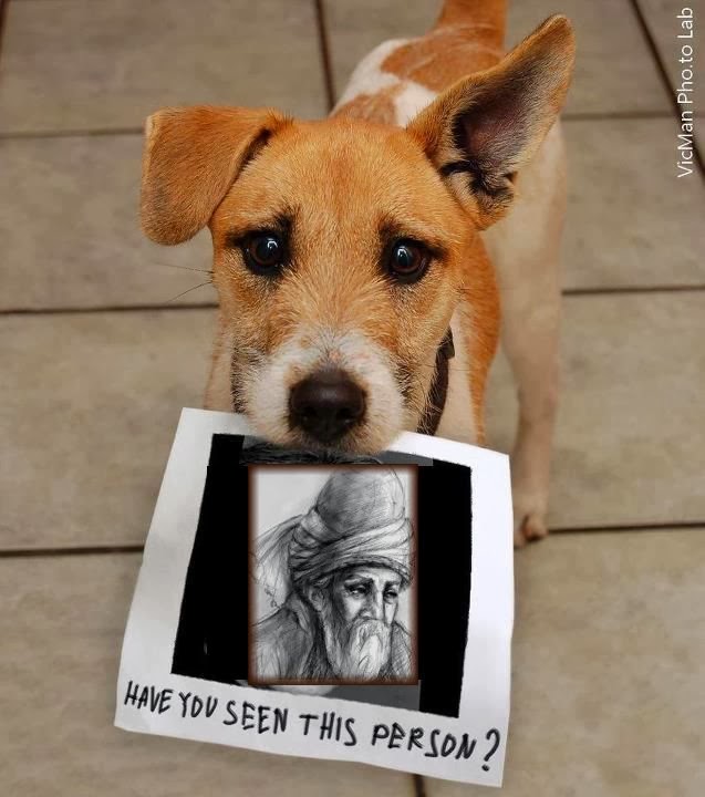 No Mind's Land Rumi There are Love dogs...