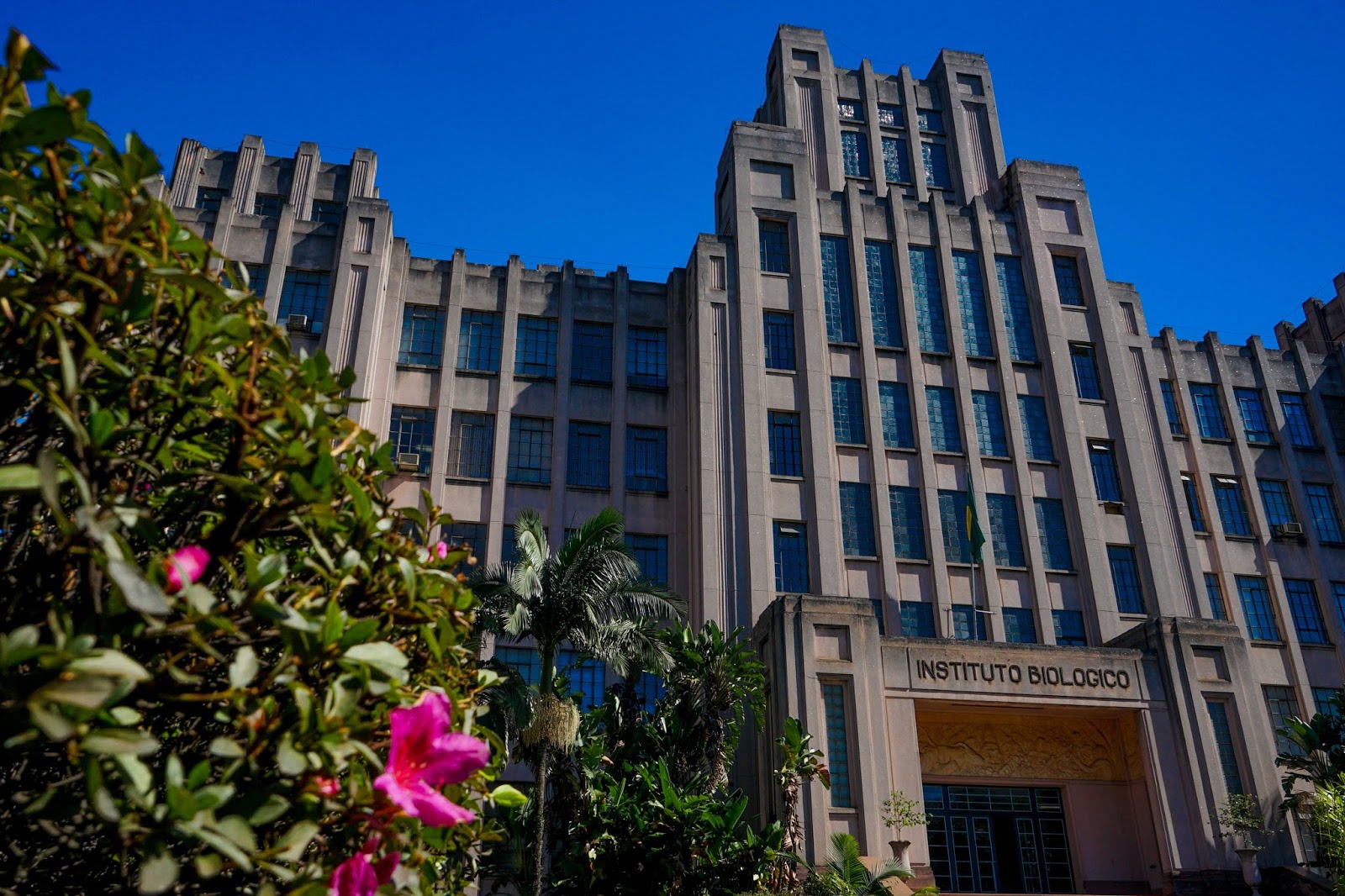 viajando com jesus: cafezal - instituto biológico - são paulo