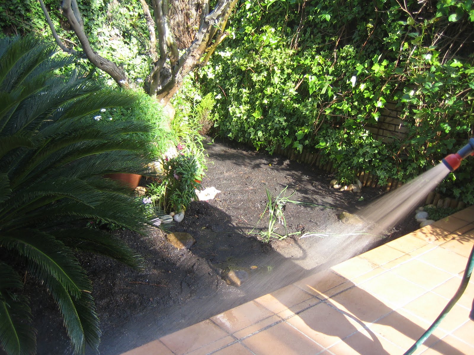 Blog de Dorisalon: Replantando el césped