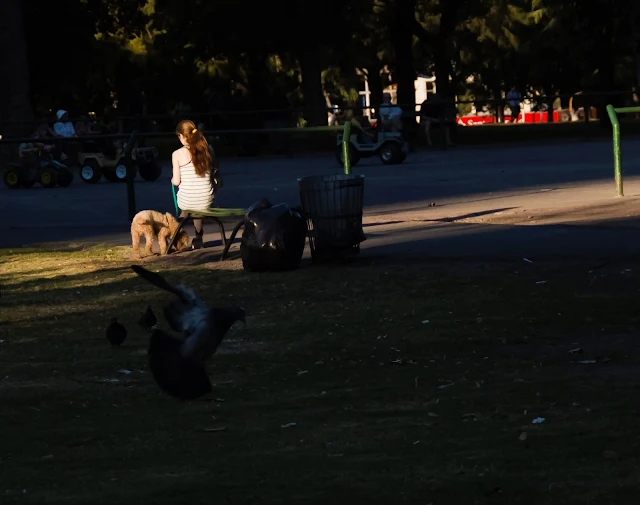 Joven con su perro en el parque