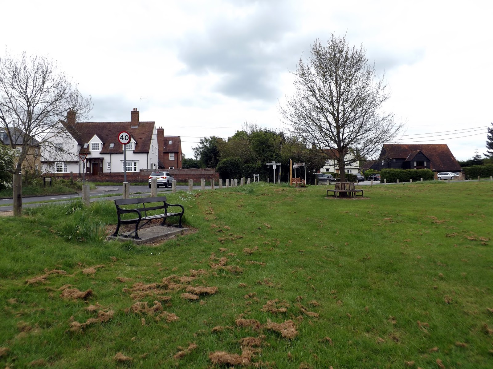 My Adventures 3 Hanningfield Reservoir,Essex Bluebell Walk 6th May 2019