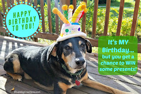 birthday dog giveaway gifts rescue senior