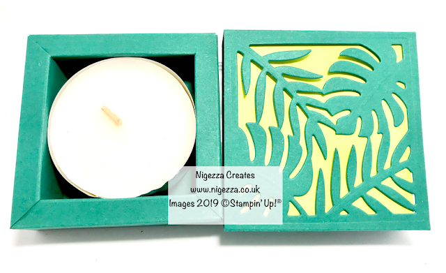 Stampin Up Tropical Chic Shadow Box frame Nigezza Creates