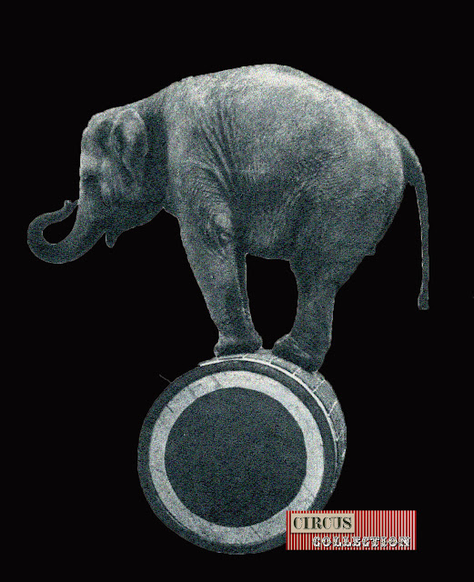 éléphant en équilibre sur un cylindre
