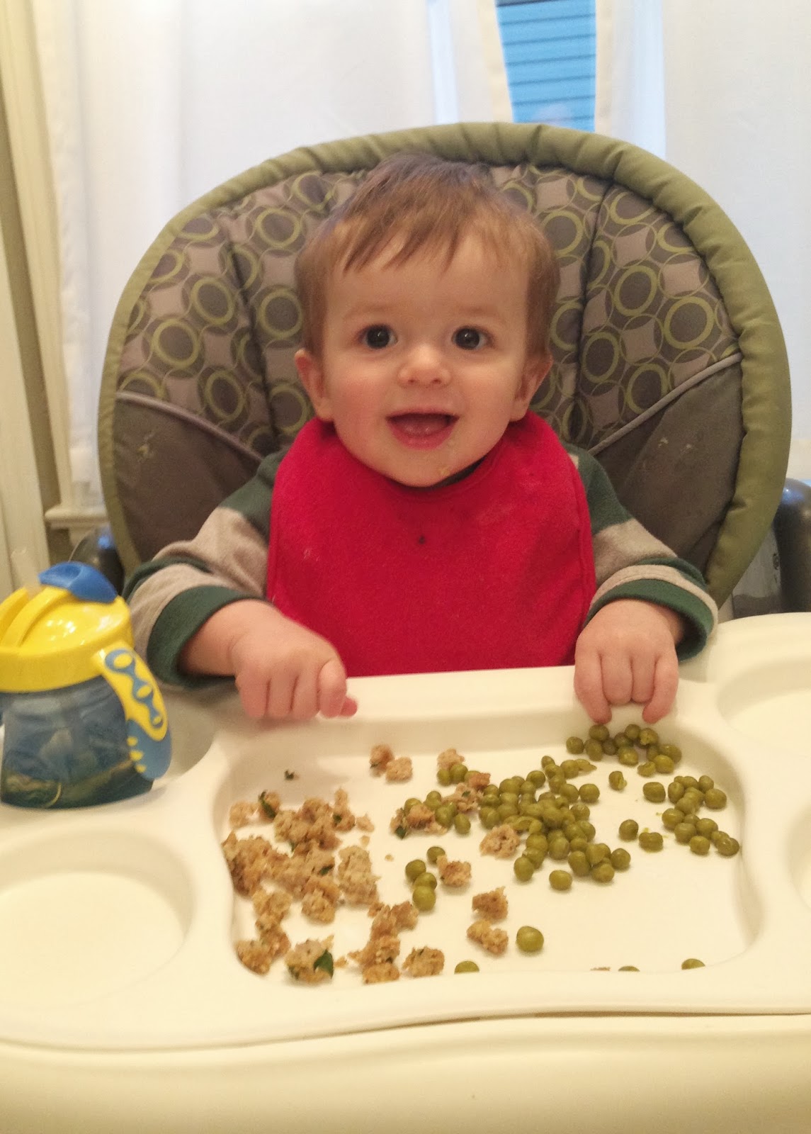 The Hungry Games Chicken Meatballs (Baby & Toddler Approved)