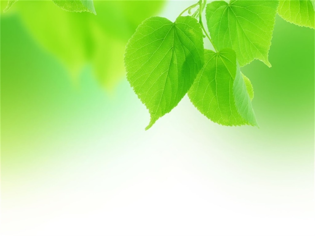 A group of elegant green leaves PPT backgrounds A group of elegant green leaves PPT backgrounds