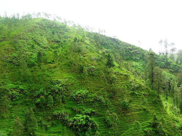 Pose bukit sembrani nuansa alam terjaga dan natural Desa