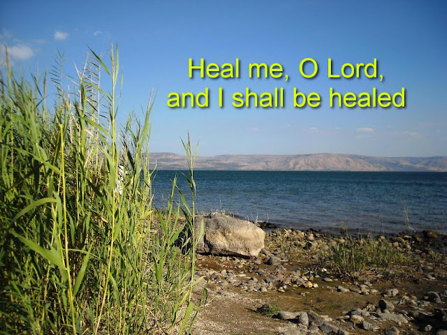 Heal Herbs Complete Wormer: Your Questions Answered - c49wubm