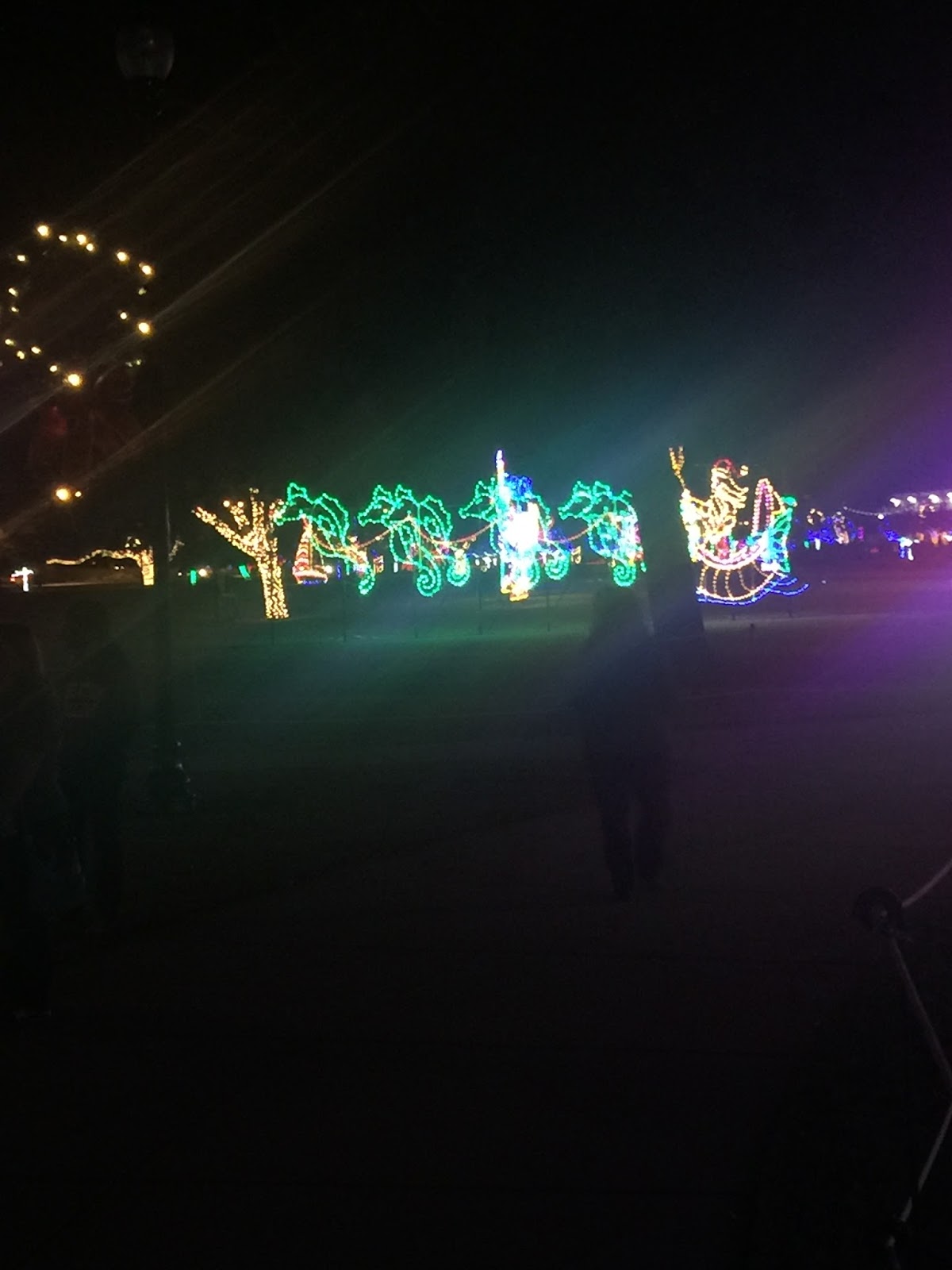 Random Thoughts Christmas lights at Jones Park Gulfport, MS
