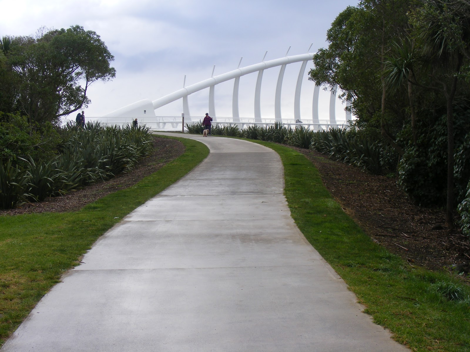 Is the Te Rewa Rewa Bridge Worth Visiting in New Plymouth?