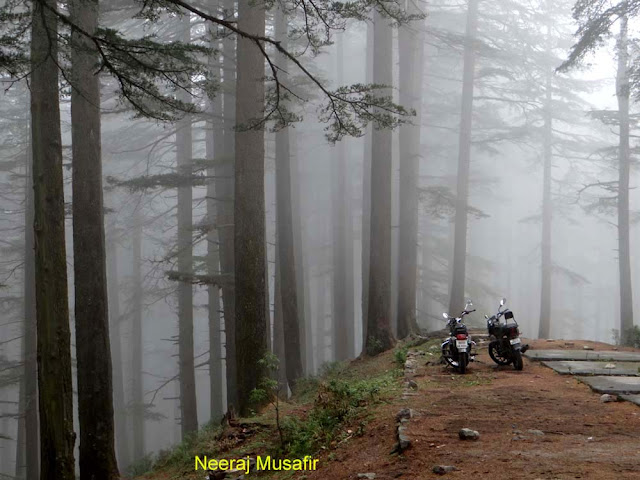 Moila Bugyal, Low Altitude Bugyals in Uttarakhand, Easy Treks in Uttarakhand, Easy Treks in Garhwal, Trekking near Dehradun, Trekking near Delhi, Less Travelled Places in Uttarakhand, Best Places to see near Mussoorie, Places to see near Shimla, 