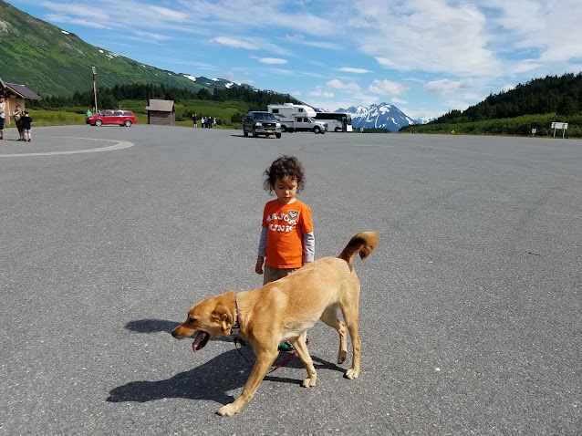 Beautiful rest stop off Seward Highway on our way to Kasilof and Kenai river fishing holes