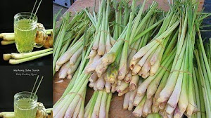 Manfaat daun serai untuk kesehatan. Wajib share bund.