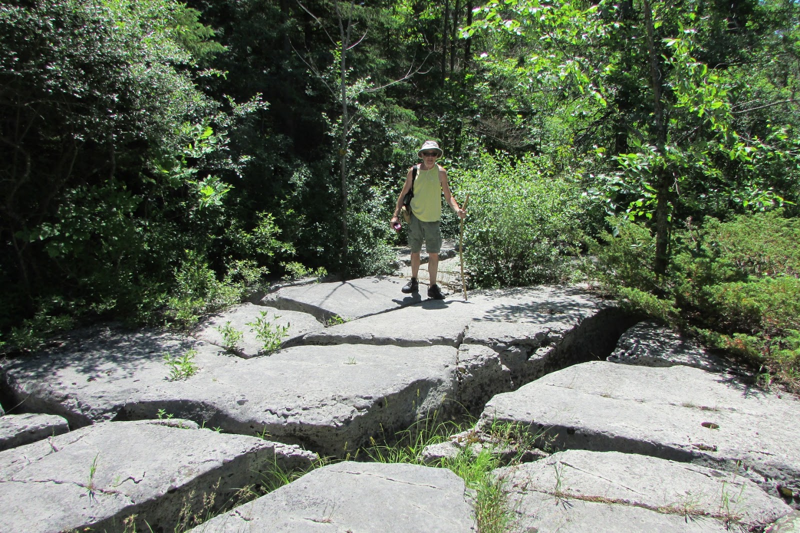 Singer Castle Blog & More Hiking Chaumont Barrens Preserve