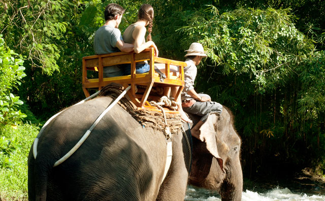 Bali Zoo Park Long Trek Elephant Back Safari Package - Singapadu, Sukawati, Gianyar, Bali, leisure, Attraction, Zoo, Adventure, Package