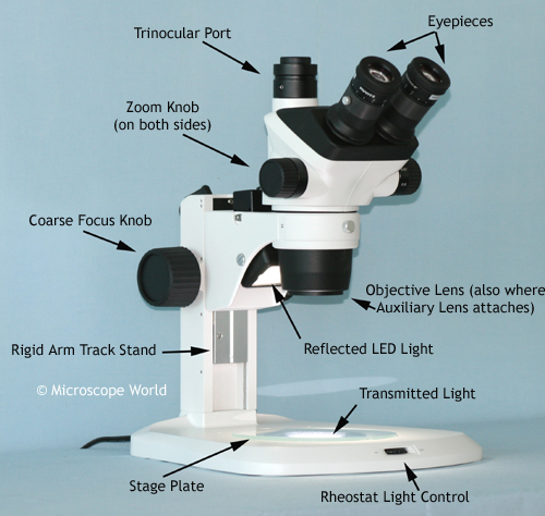 Magnification, Microscopy, Optics & Lenses