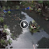 Watch: Iligan City Estero full of different kinds of Fish