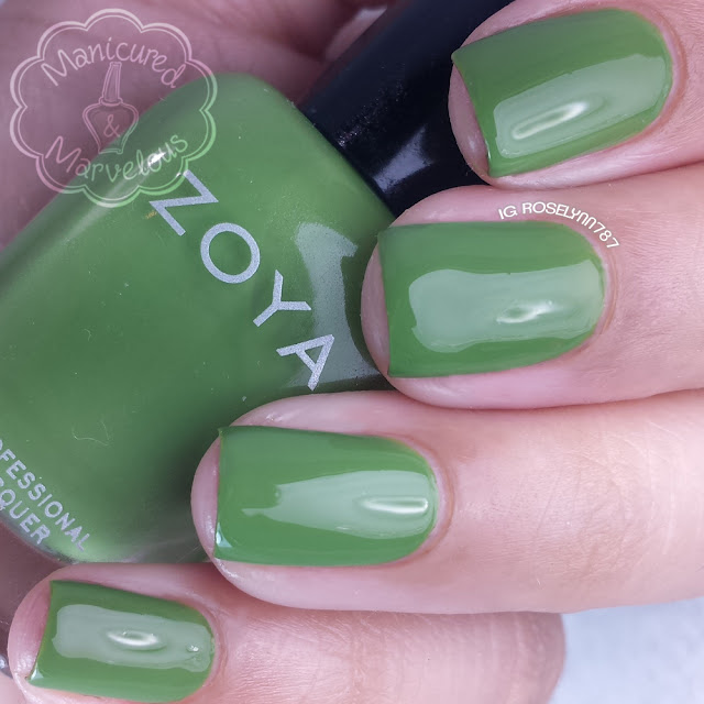 Zoya - Island Fun - Jace