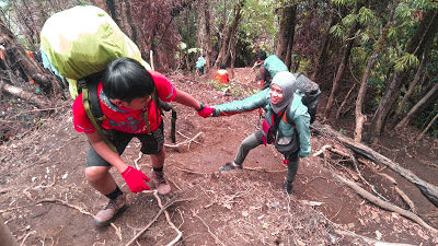 Pendakian Gunung Cikuray Trek Dengkul Ketemu Dagu Farhati Mardhiyah