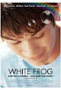 White frog