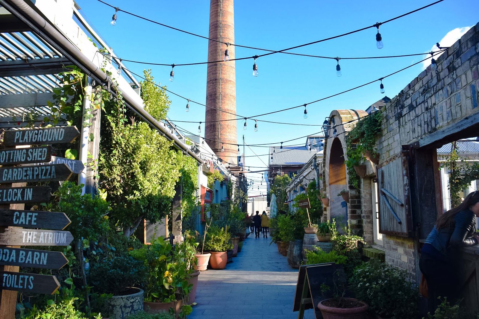 the grounds of alexandria