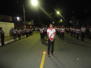 Desfile 2011