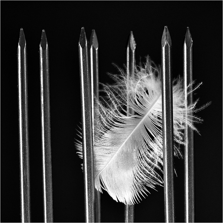 Emerging Photographers, Best Photo of the Day in Emphoka by Jacques-Henri Lair Emerging Photographers, Best Photo of the Day in Emphoka by Jacques-Henri Lair