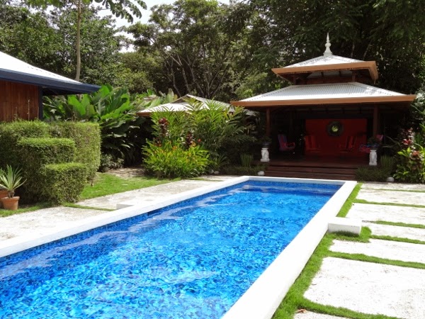 One of the coolest lap pools I've seen - Blue Osa - Costa Rica