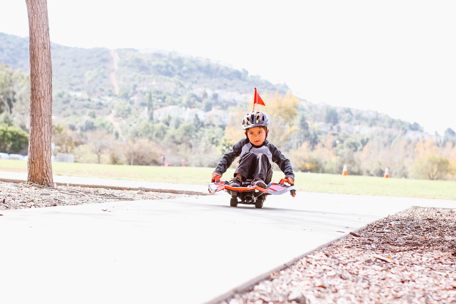Thrill of the Ride with Nighthawk - One Whimsy Lane
