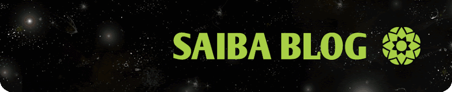 Saiba Blog