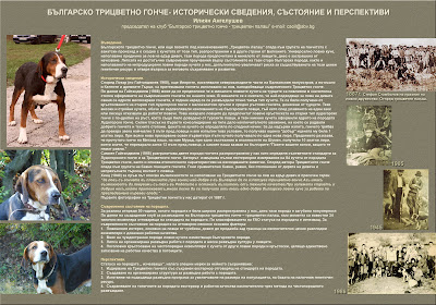 КЛУБ БЪЛГАРСКО ТРИЦВЕТНО ГОНЧЕ ТРИЦВЕТЕН ПАЛАШ